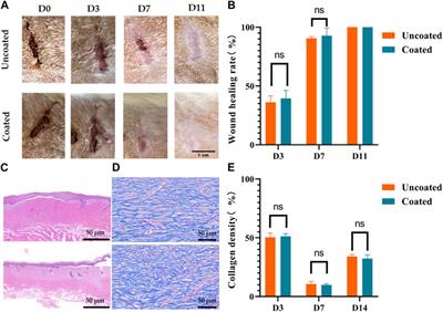 Anti-adhesion study of three-dimensional reconstructed carbon coatings